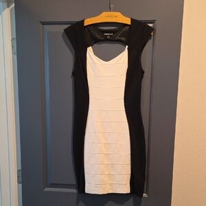 Express Bodycon Dress